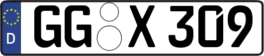 GG-X309