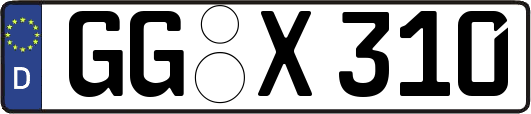 GG-X310
