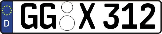GG-X312