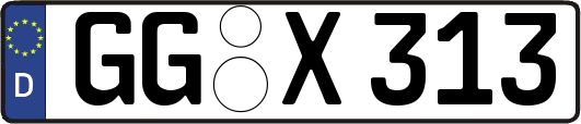 GG-X313