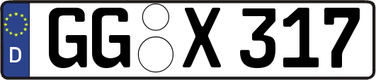 GG-X317