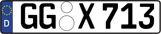 GG-X713