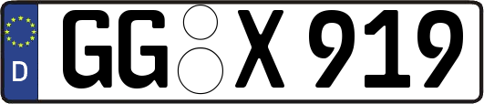 GG-X919
