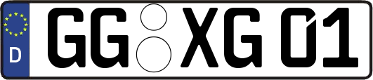 GG-XG01
