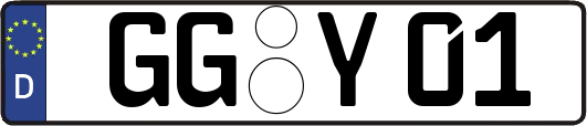 GG-Y01