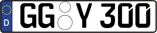 GG-Y300