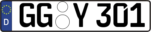 GG-Y301