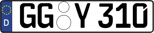 GG-Y310