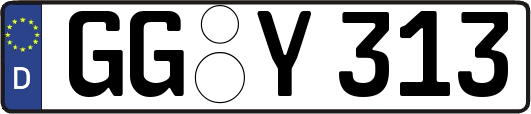 GG-Y313