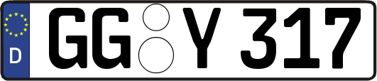 GG-Y317
