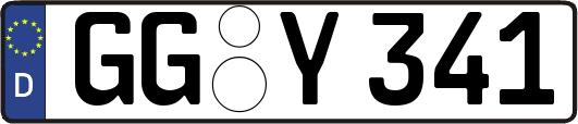 GG-Y341