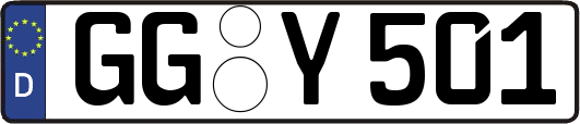 GG-Y501