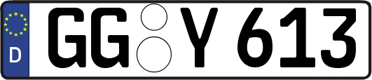 GG-Y613