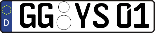 GG-YS01