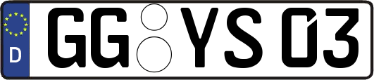 GG-YS03