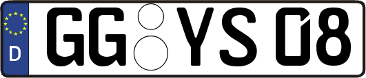 GG-YS08