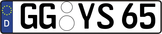 GG-YS65