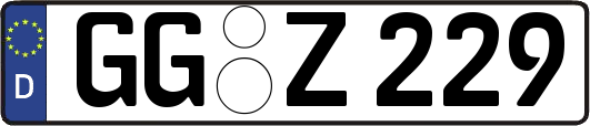 GG-Z229