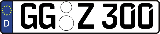 GG-Z300
