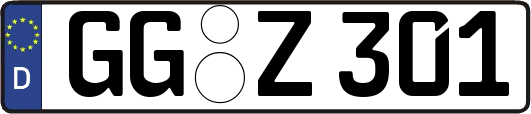 GG-Z301