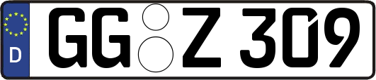 GG-Z309