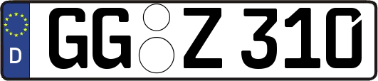 GG-Z310