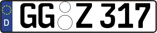 GG-Z317