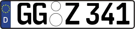 GG-Z341