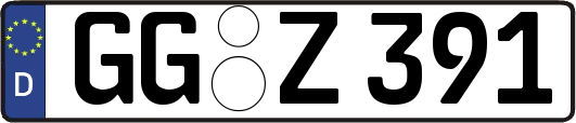 GG-Z391