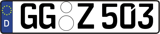 GG-Z503