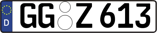GG-Z613