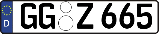 GG-Z665