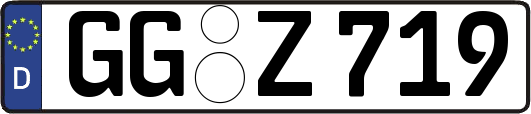 GG-Z719