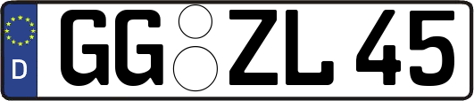 GG-ZL45