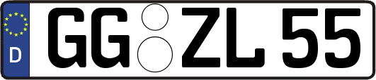 GG-ZL55