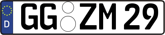 GG-ZM29
