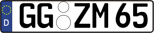 GG-ZM65