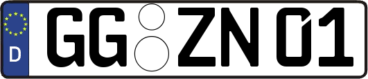 GG-ZN01