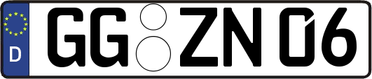 GG-ZN06