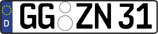GG-ZN31