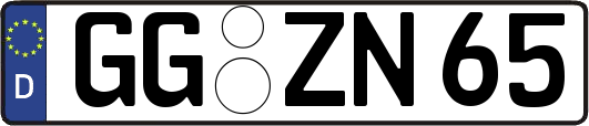 GG-ZN65