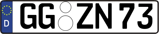 GG-ZN73