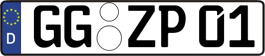 GG-ZP01