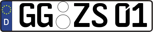 GG-ZS01