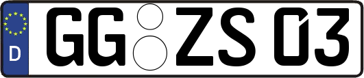 GG-ZS03