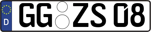GG-ZS08