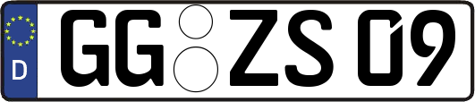 GG-ZS09