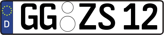 GG-ZS12