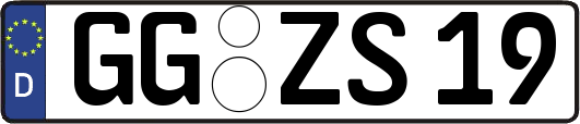 GG-ZS19