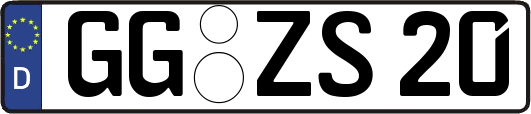 GG-ZS20